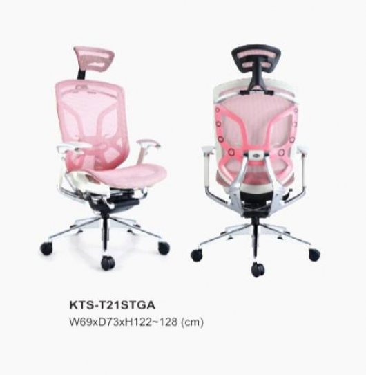 高級人體工學網椅